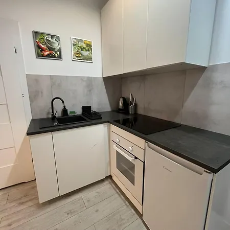 Apartament Zabrska V