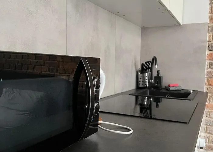 Zabrska V Apartament