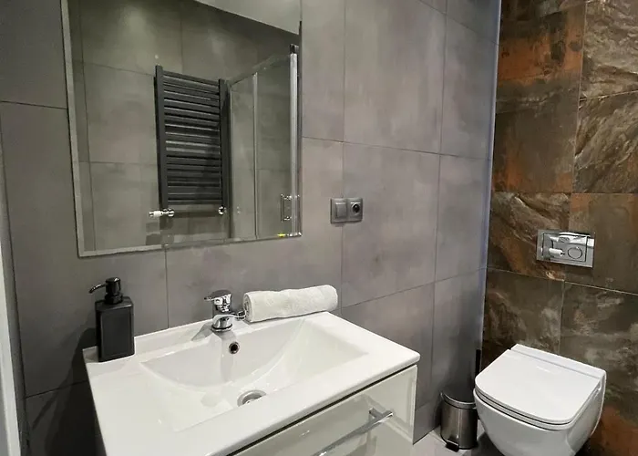 Apartament Zabrska V Katowice