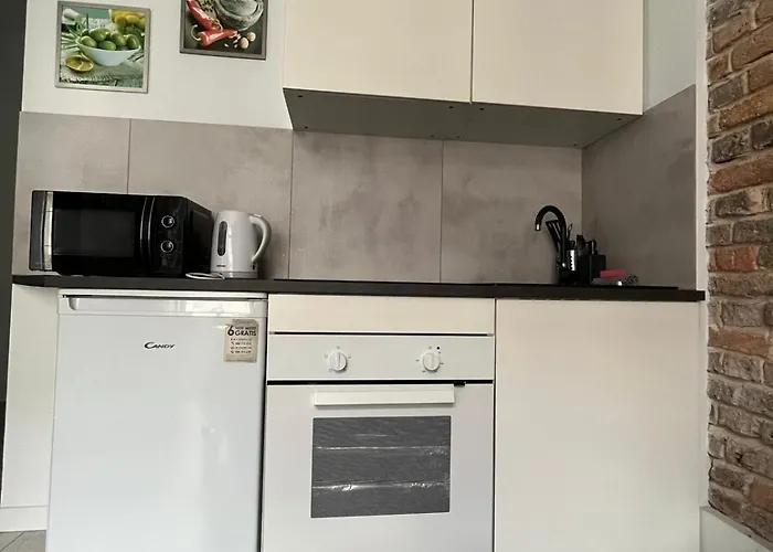 Zabrska V Apartament