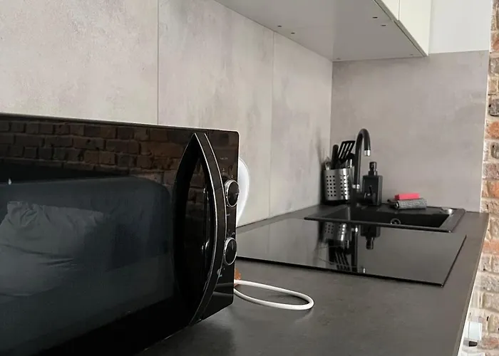 Apartament Zabrska V