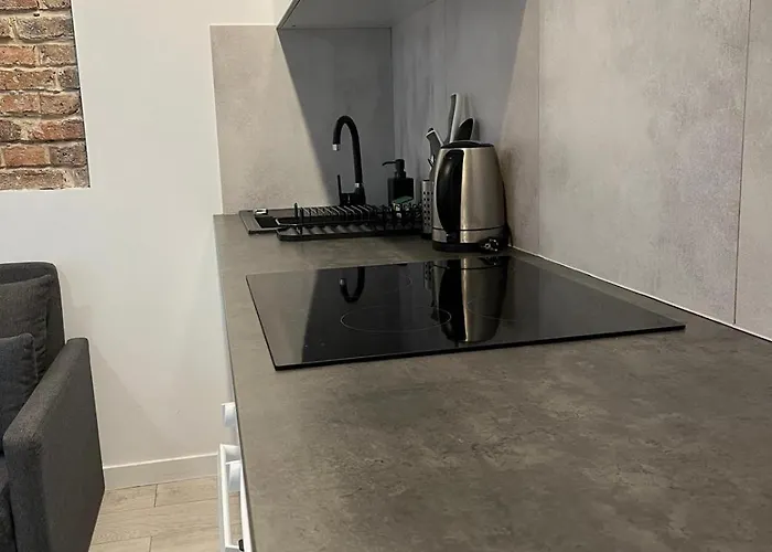 Apartament Zabrska V