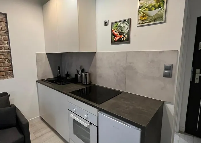 Zabrska V Apartament Katowice