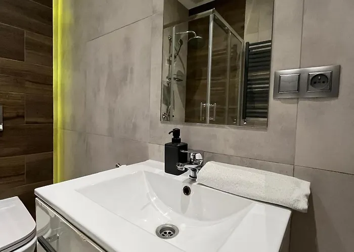 Zabrska V Apartament Katowice