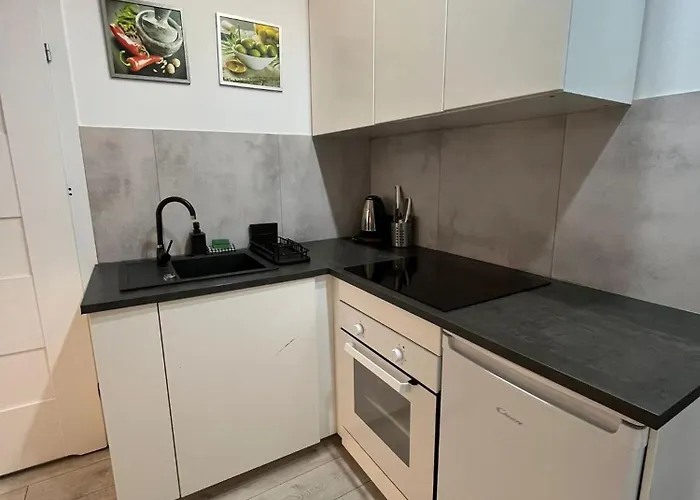 Apartament Zabrska V